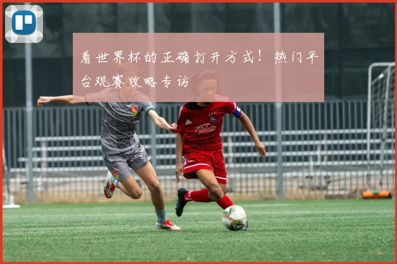 看世界杯的正确打开方式！热门平台观赛攻略专访