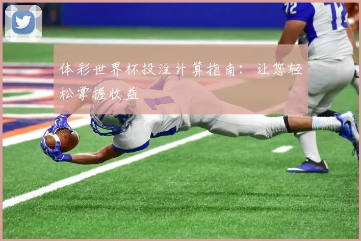 体彩世界杯投注计算指南：让您轻松掌握收益