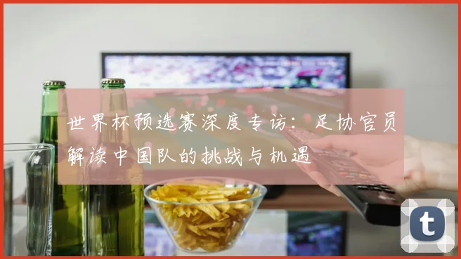 世界杯预选赛深度专访:足协官员解读中国队的挑战与机遇