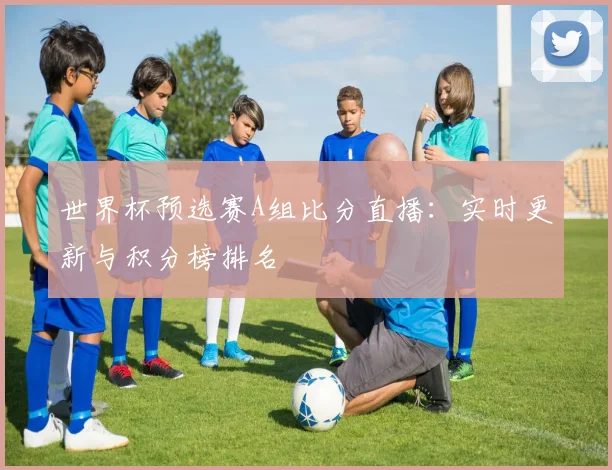 世界杯预选赛A组比分直播：实时更新与积分榜排名