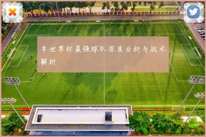 年世界杯最强球队深度分析与战术解析