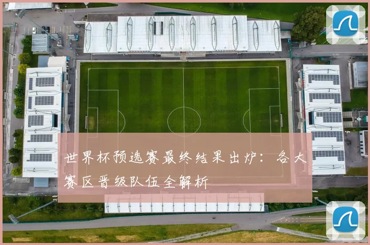 世界杯预选赛最终结果出炉：各大赛区晋级队伍全解析
