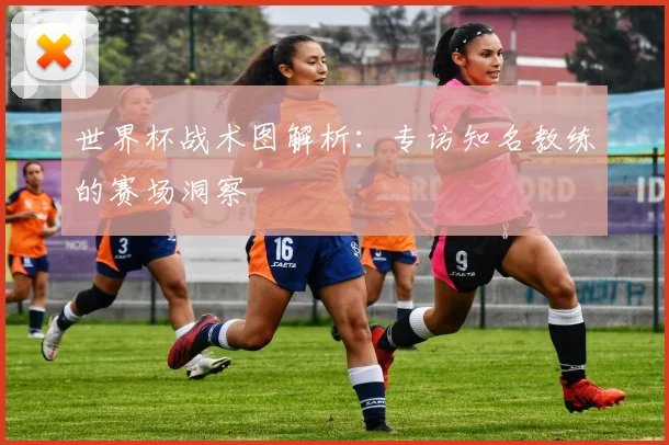 世界杯战术图解析:专访知名教练的赛场洞察