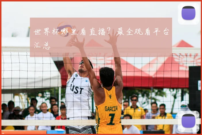 世界杯哪里看直播?最全观看平台汇总