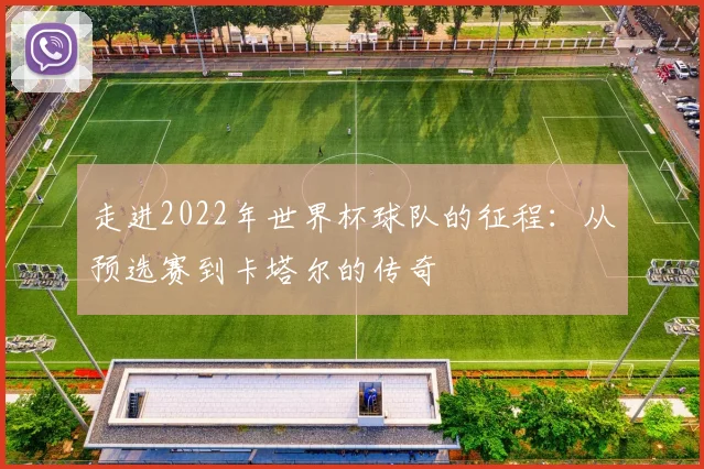 走进2022年世界杯球队的征程：从预选赛到卡塔尔的传奇