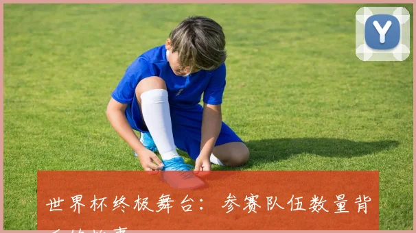世界杯终极舞台：参赛队伍数量背后的故事
