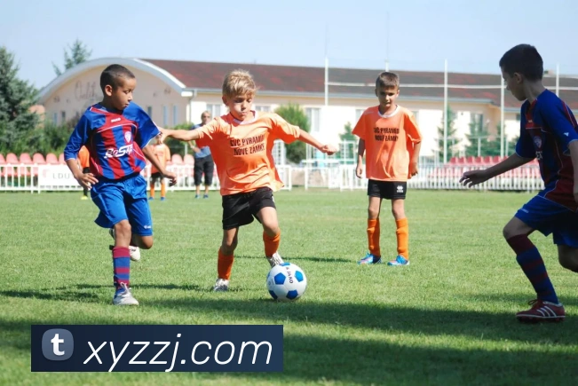 米兰网页版登录入口发展历程