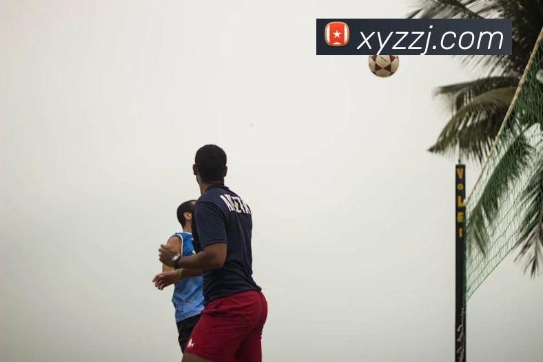 西班牙国家队2012年欧洲杯夺冠阵容解析与球员名单回顾